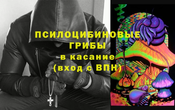 apvp Володарск