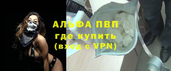 амф Верхний Тагил