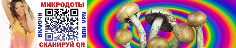 Псилоцибиновые грибы Magic Shrooms  Лодейное Поле 